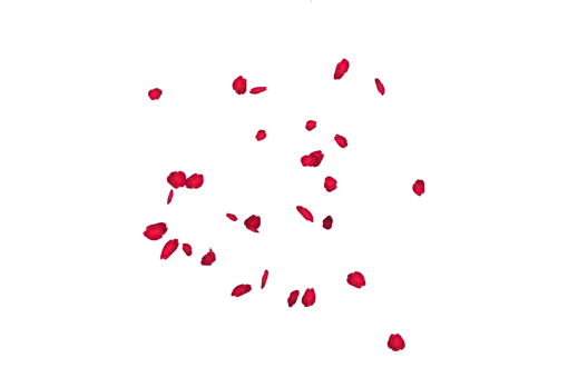  Falling Red Rose Petals Overlay PNG