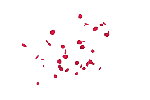  Falling Red Rose Petals Overlay PNG