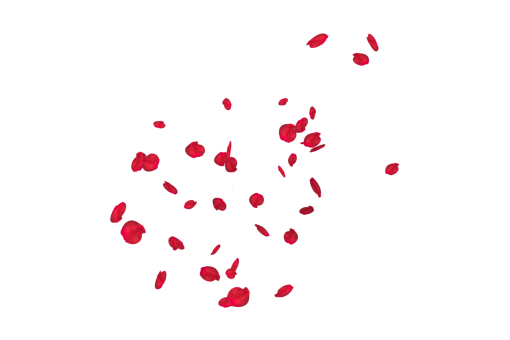 Falling Red Rose Petals Overlay PNG