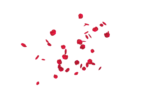  Falling Red Rose Petals Overlay PNG