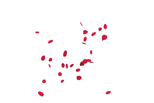  Falling Red Rose Petals Overlay PNG