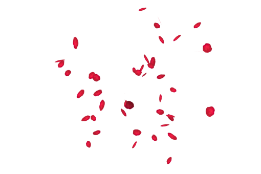  Falling Red Rose Petals Overlay PNG