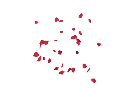  Falling Red Rose Petals Overlay PNG