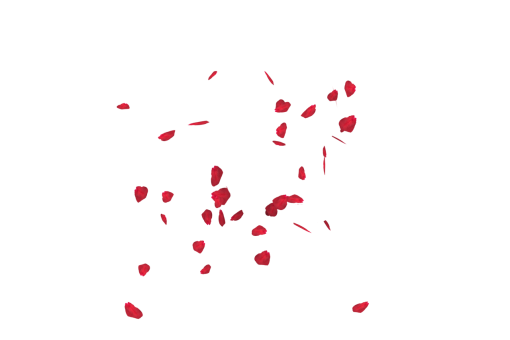 rose-colored  Falling Red Rose Petals Overlay PNG