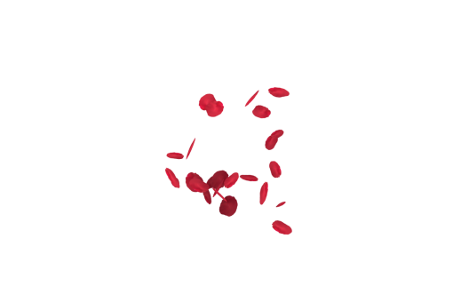 rose-colored  Falling Red Rose Petals Overlay PNG