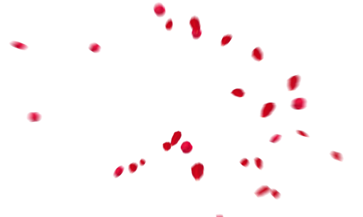 rose-colored  Falling Red Rose Petals Overlay PNG