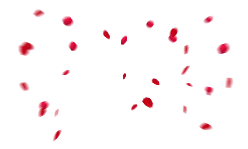 rose-colored  Falling Red Rose Petals Overlay PNG