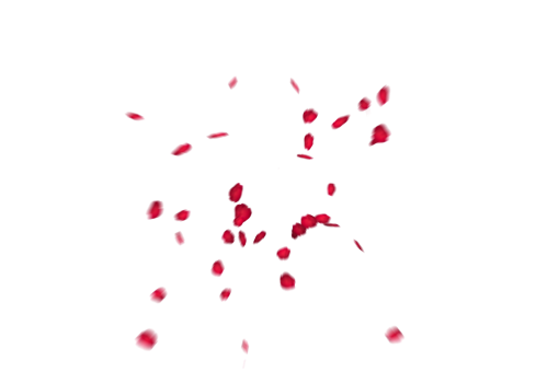 rose-colored  Falling Red Rose Petals Overlay PNG
