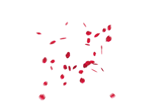 rose-colored  Falling Red Rose Petals Overlay PNG