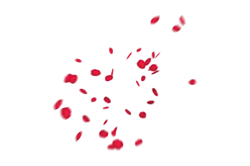 rose-colored  Falling Red Rose Petals Overlay PNG