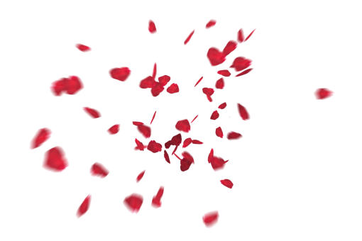 rose-colored  Falling Red Rose Petals Overlay PNG