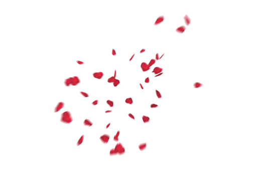 rose-colored  Falling Red Rose Petals Overlay PNG
