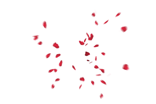 fall  Falling Red Rose Petals Overlay PNG