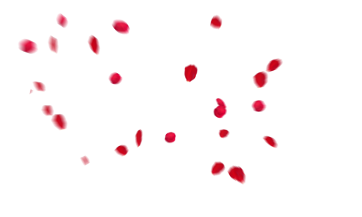 fall  Falling Red Rose Petals Overlay PNG