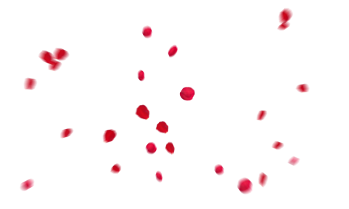 fall  Falling Red Rose Petals Overlay PNG