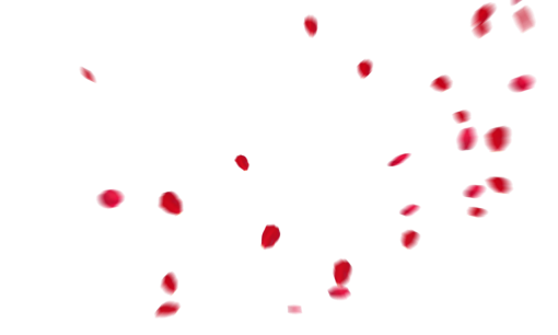 fall  Falling Red Rose Petals Overlay PNG