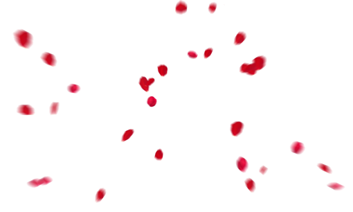 fall  Falling Red Rose Petals Overlay PNG