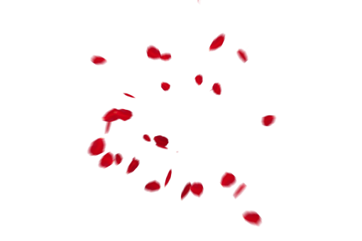 fall  Falling Red Rose Petals Overlay PNG