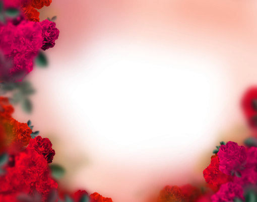  Floral Texture Background Overlay PNG