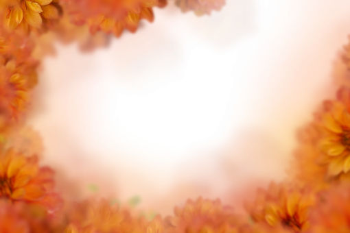 drawing-art-product  Floral Texture Background Overlay PNG