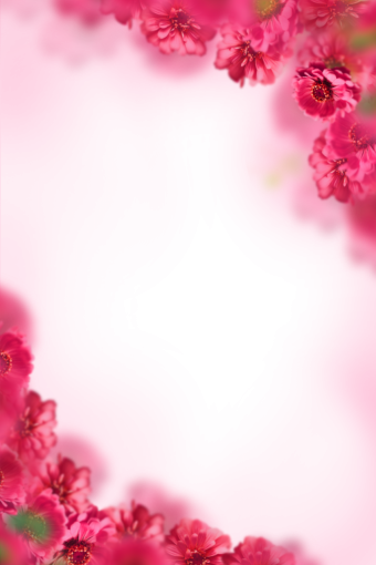 drawing-art-product  Floral Texture Background Overlay PNG