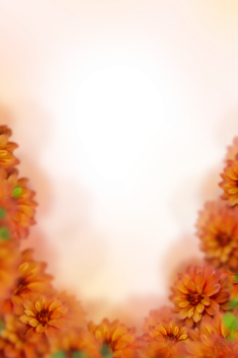 drawing  Floral Texture Background Overlay PNG