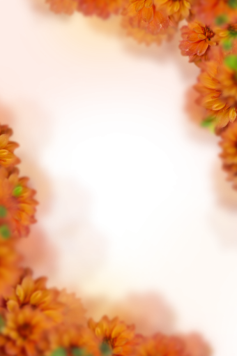 drawing  Floral Texture Background Overlay PNG