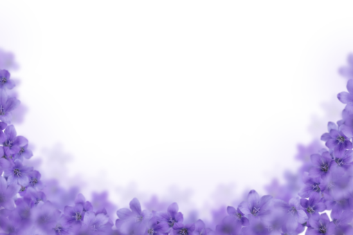 drawing  Floral Texture Background Overlay PNG