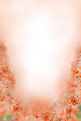 drawing  Floral Texture Background Overlay PNG