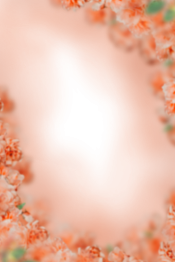 drawing  Floral Texture Background Overlay PNG