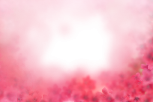drawing  Floral Texture Background Overlay PNG