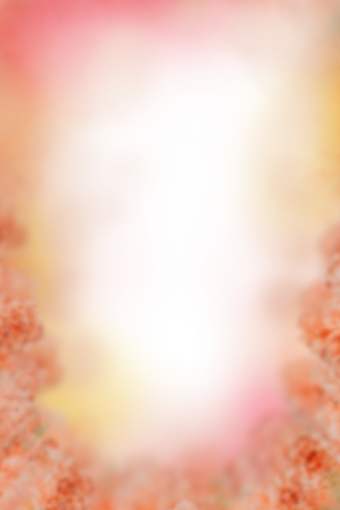 drawing  Floral Texture Background Overlay PNG