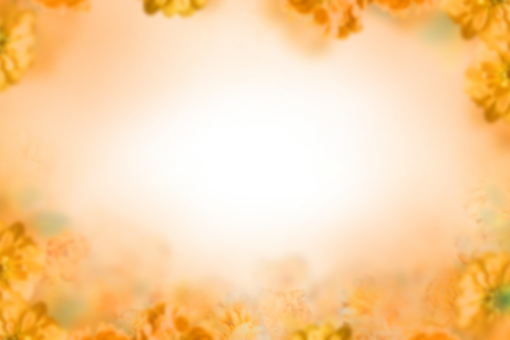 drawing  Floral Texture Background Overlay PNG