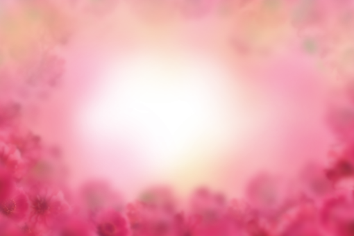 drawing  Floral Texture Background Overlay PNG