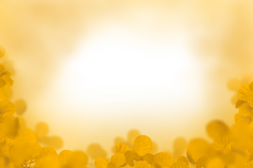 drawing  Floral Texture Background Overlay PNG