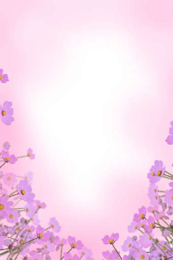 drawing  Floral Texture Background Overlay PNG