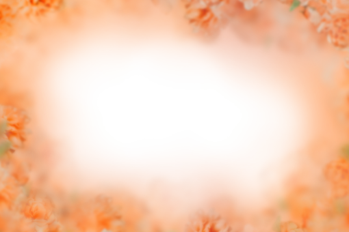 drawing  Floral Texture Background Overlay PNG