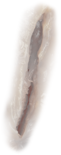 frozen  outdoors overlay snow ice png nature wound