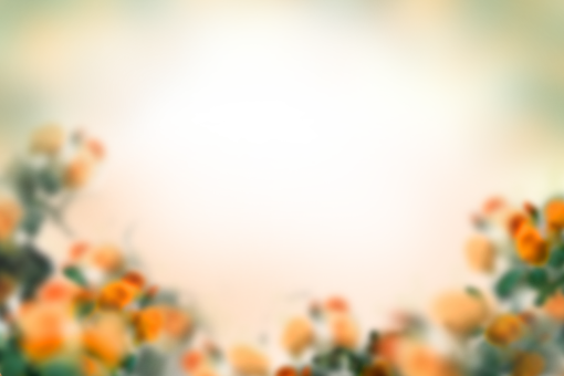  Painted Flowers Overlay PNG