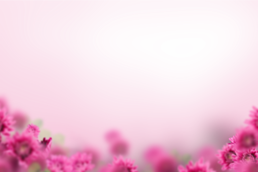  Painted Flowers Overlay PNG