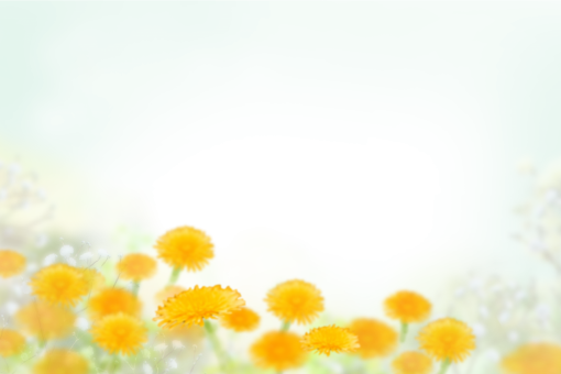 Superposición De Flores Pintadas PNG