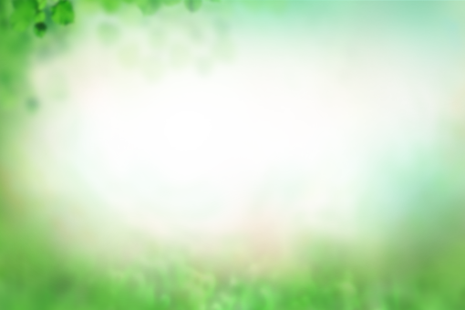 watercolor-painting  Painted Flowers Overlay PNG