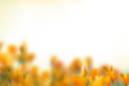 watercolor-painting  Painted Flowers Overlay PNG