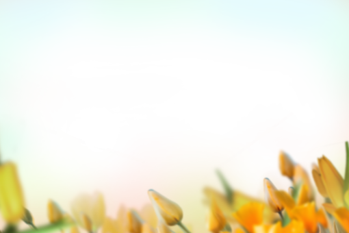 watercolor-painting  Painted Flowers Overlay PNG