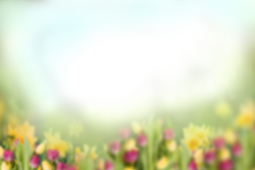 watercolor-painting  Painted Flowers Overlay PNG