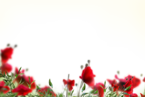 watercolor-painting  Painted Flowers Overlay PNG