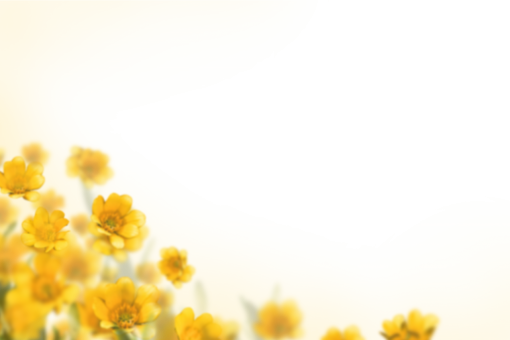 card-reader  Painted Flowers Overlay PNG
