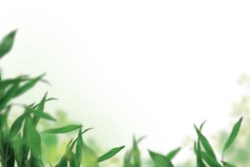 card-reader  Painted Flowers Overlay PNG