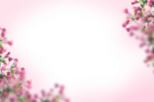 card-reader  Painted Flowers Overlay PNG