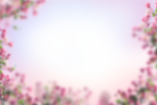 card-reader  Painted Flowers Overlay PNG